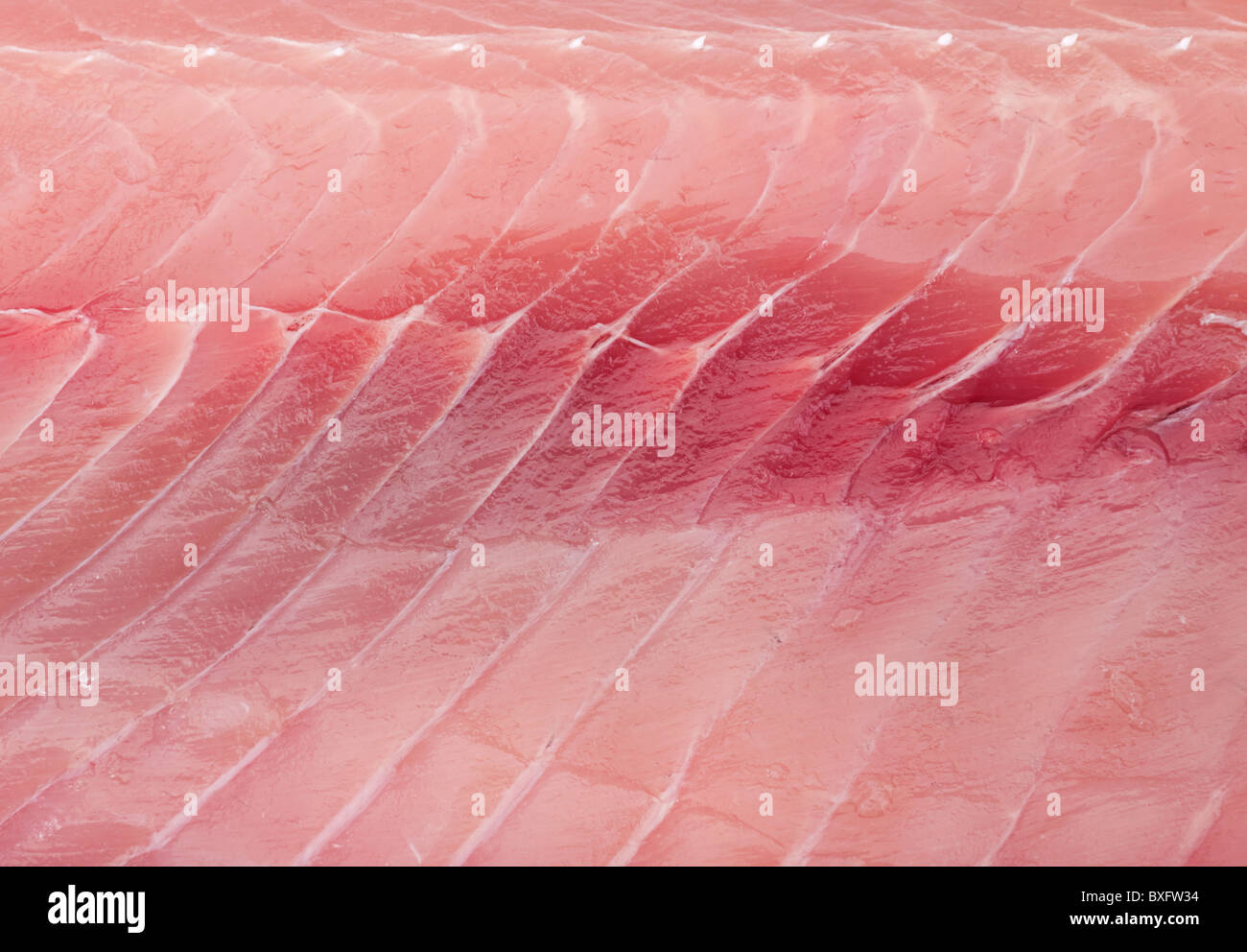 Silver carp fillet Stock Photo - Alamy
