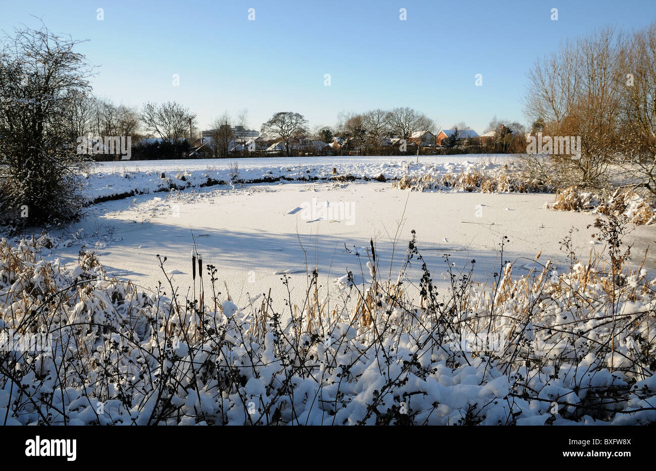 snow on frozen pond Stock Photo
