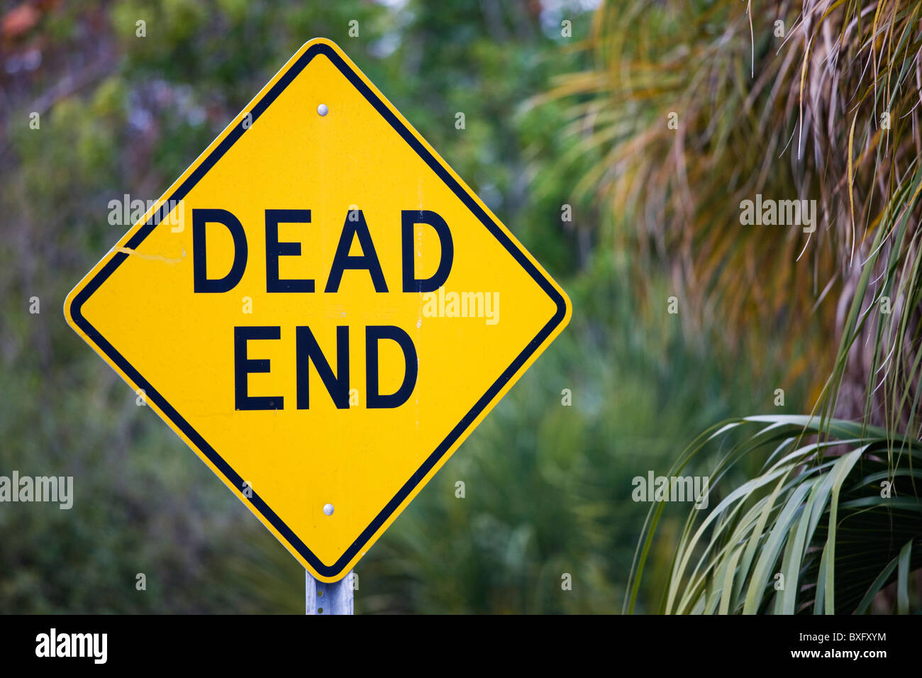 dead end sign on a dead end road in the desert Stock Photo