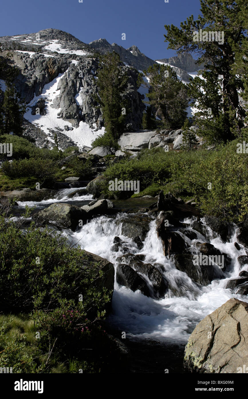High Sierra Stream, Donahue Pass, CA Stock Photo