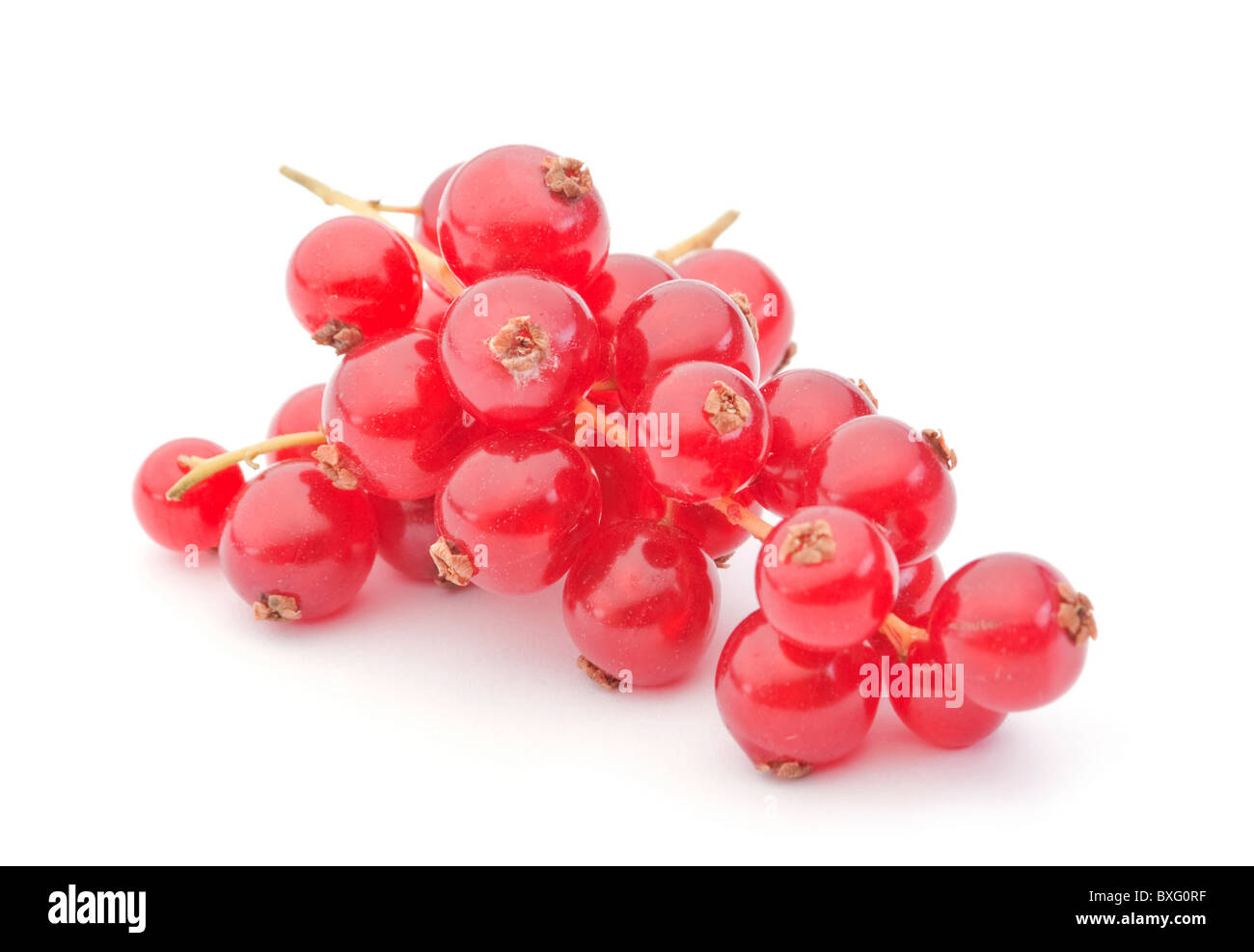 Red currant berry Stock Photo