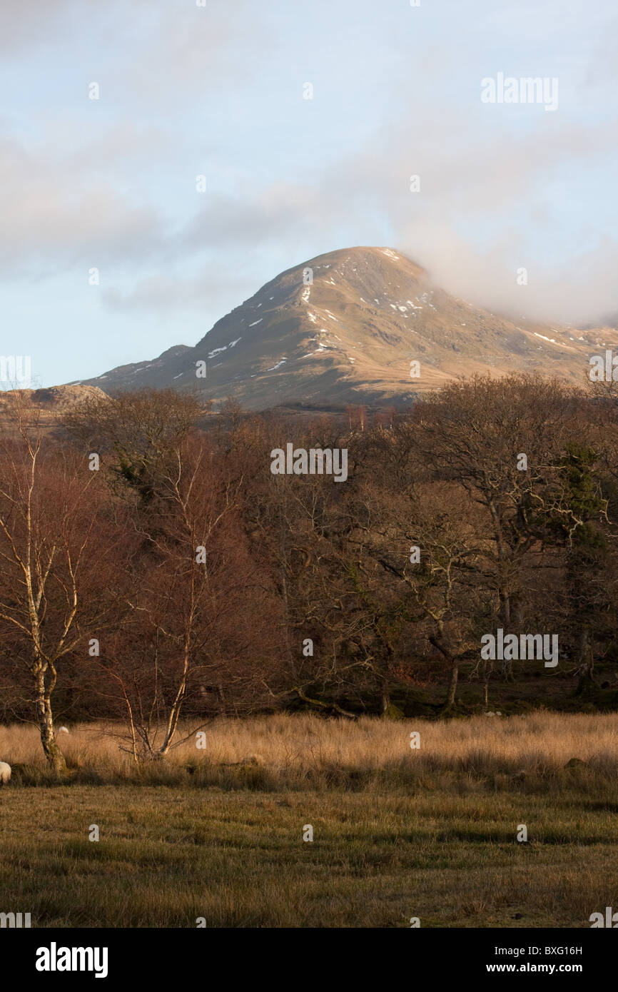 Moelwyn Mawr (770m) from the Aberglaslyn Pass in Snowdonia, Wales Stock Photo
