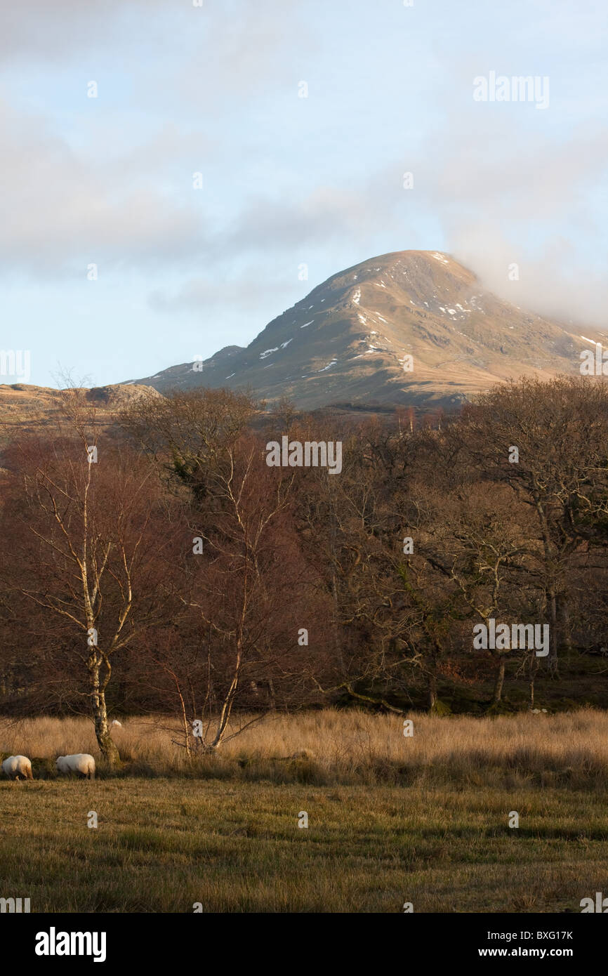 Moelwyn Mawr (770m) from the Aberglaslyn Pass in Snowdonia, Wales Stock Photo