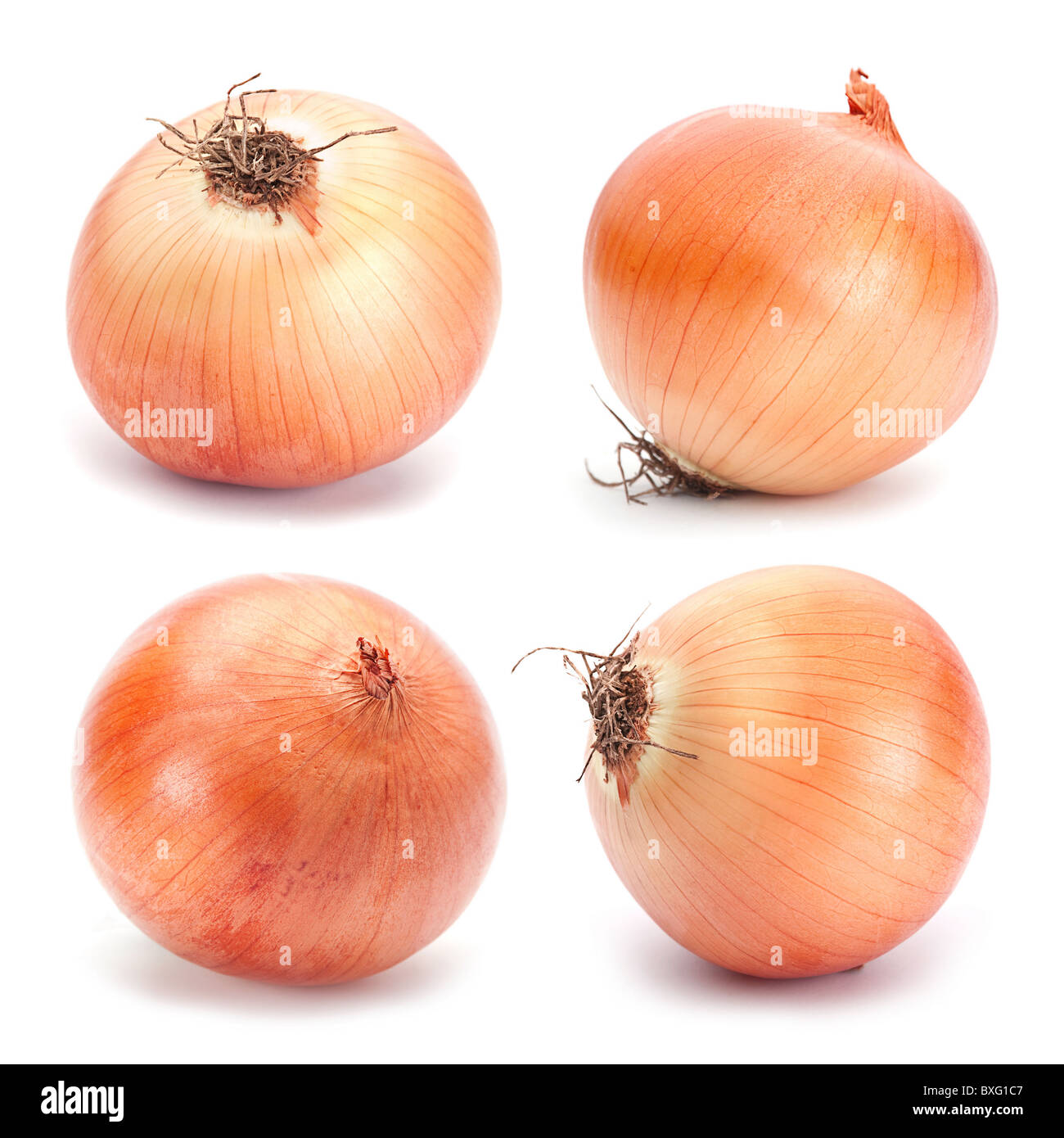 Orange onion vegetable Stock Photo