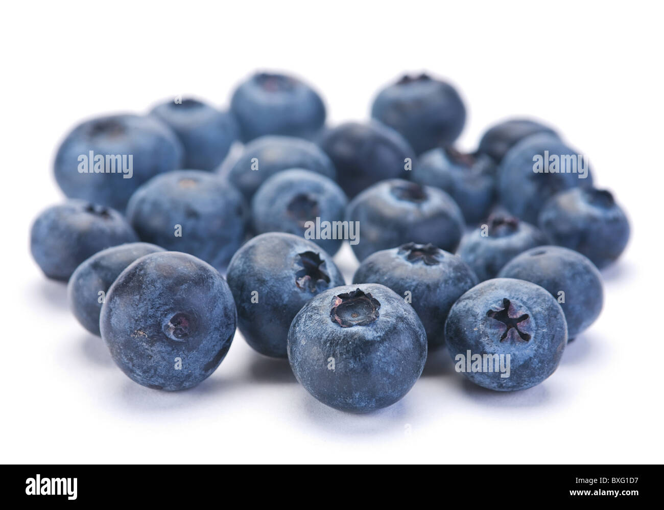 Blueberry berry closeup Stock Photo
