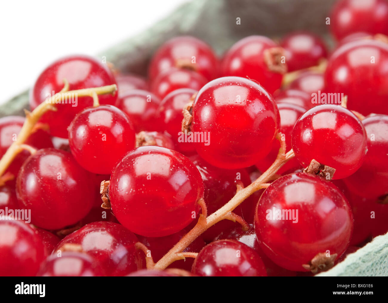 Red currant berry Stock Photo