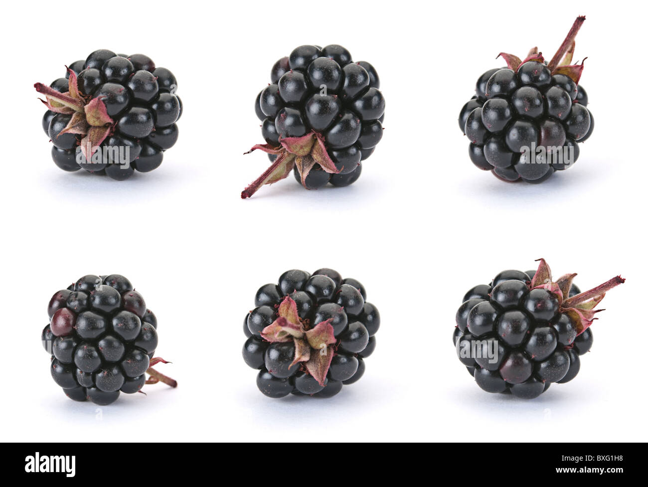 Blackberry berry Stock Photo