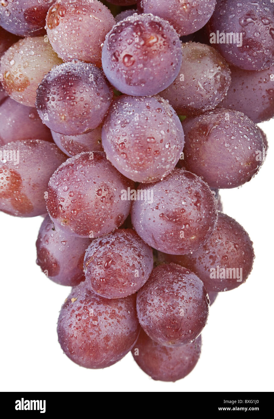 Grape fruit Stock Photo