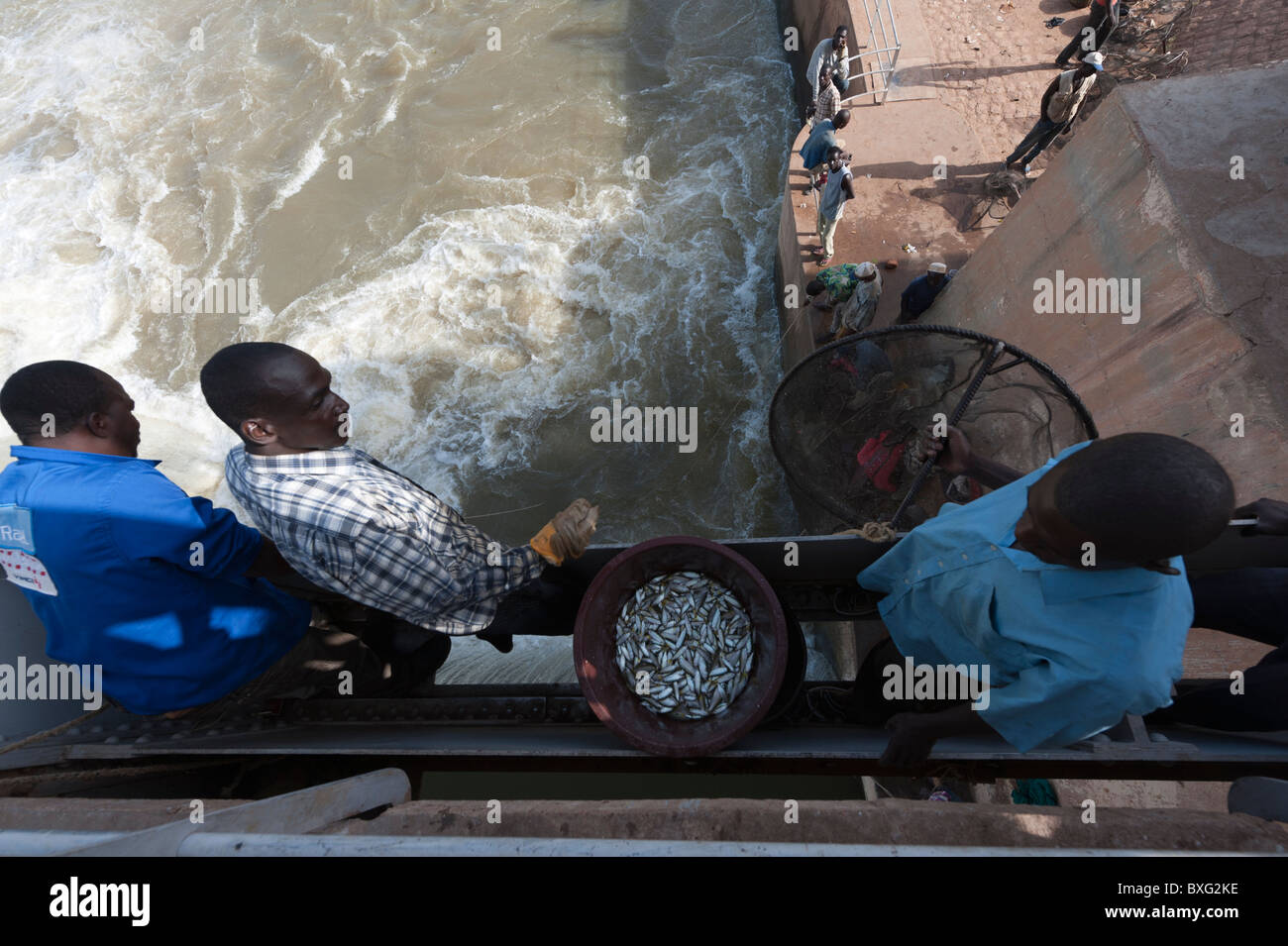 Fishermen  catching fish with a scoop net on the Barrage de Markala, (the Markala Dam). 40 km north of Segou, Mali Stock Photo
