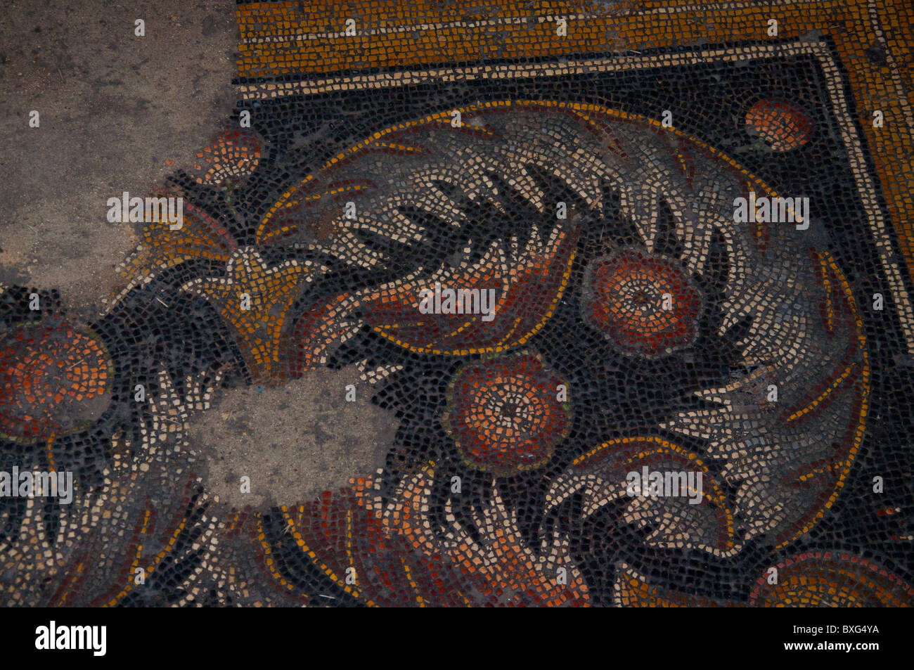Church of nativity mosaics hi-res stock photography and images - Alamy