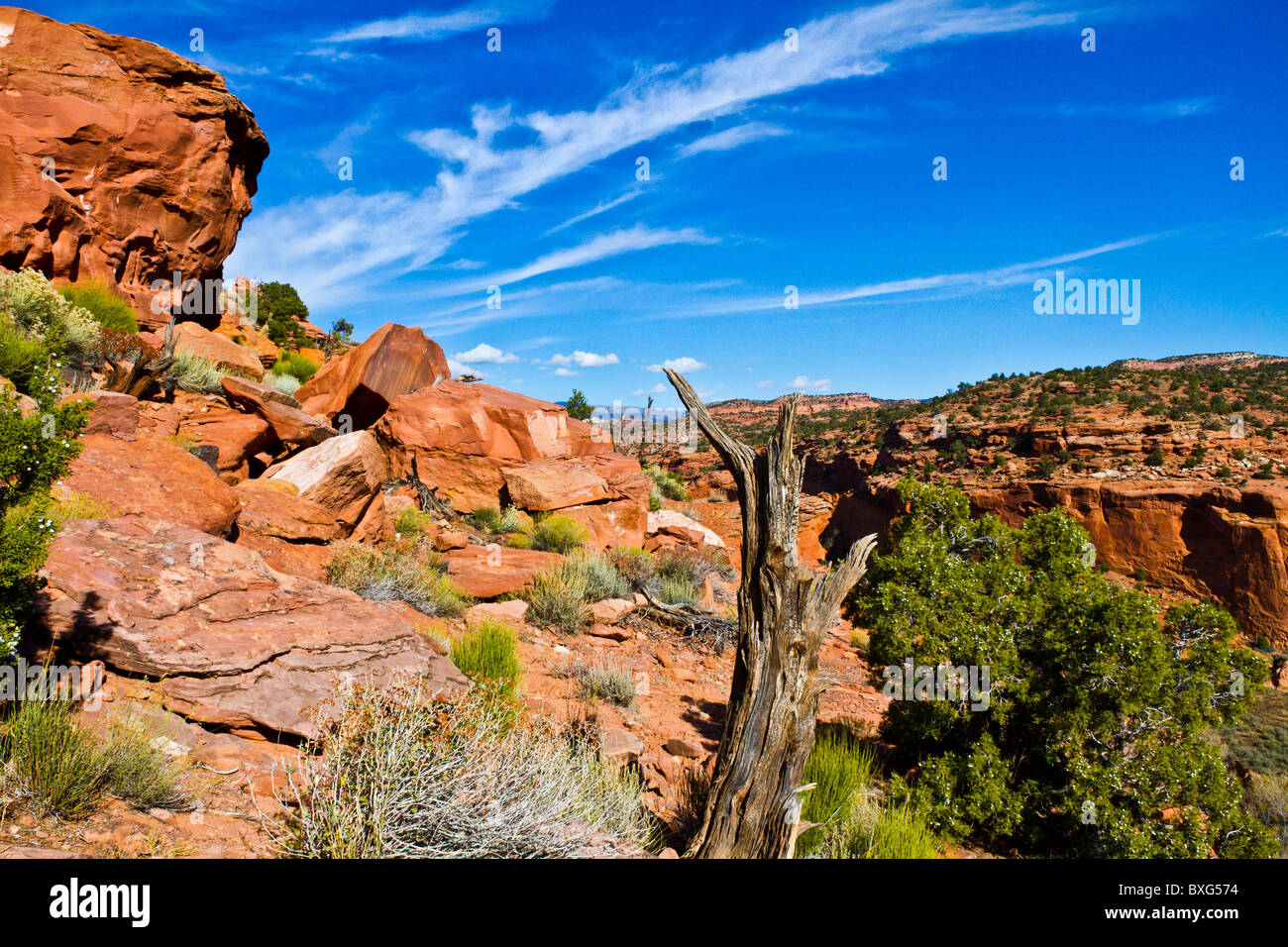 Long Canyon, UT. with dramatic winter sky. Stock Photo