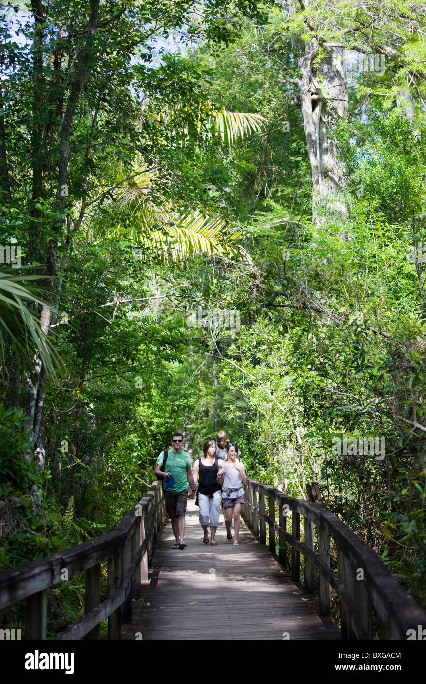 Tourists on the Big Cypress Bend boardwalk at Fakahatchee Strand, the Everglades, Florida