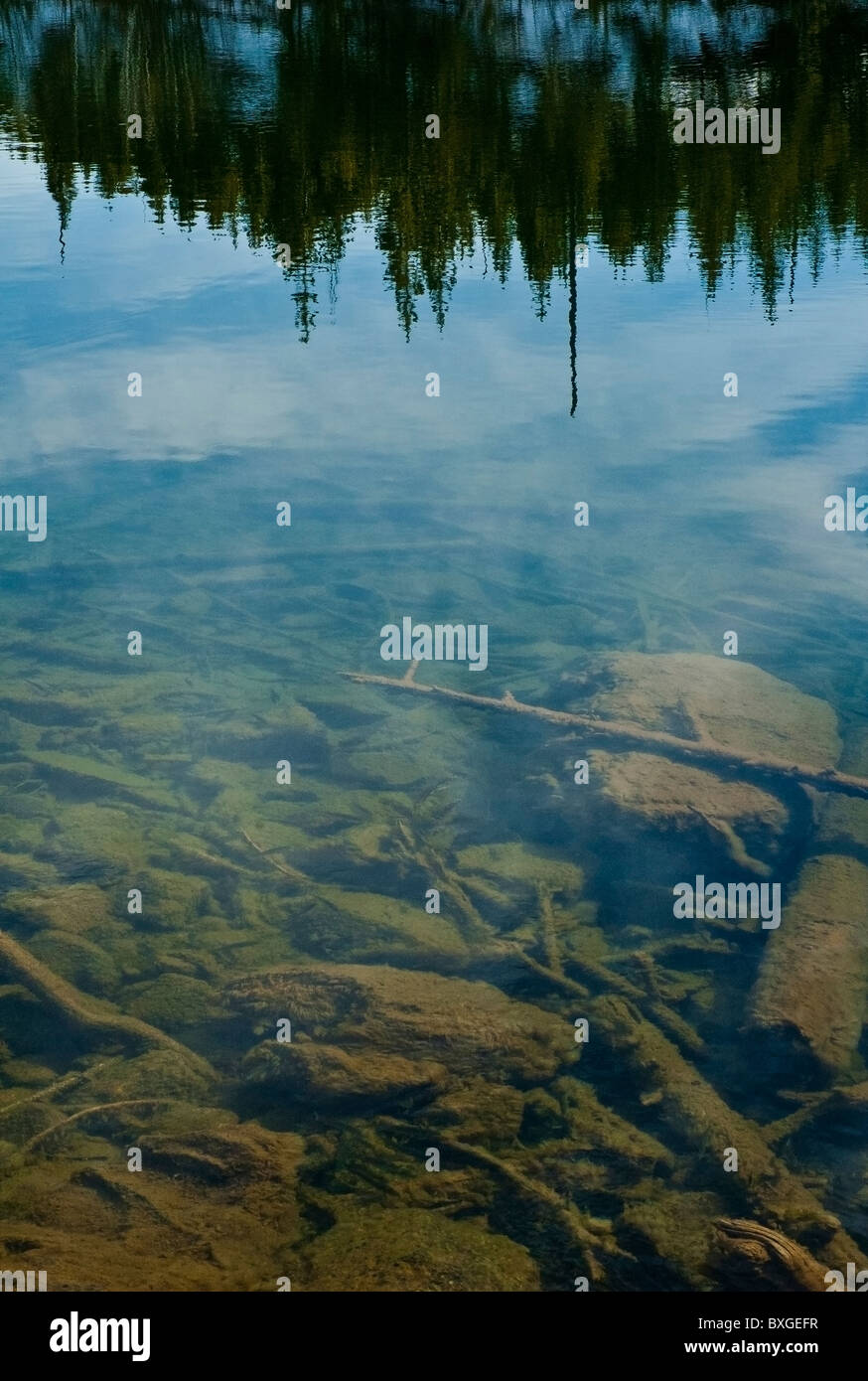 Abstraction from reflexions on Jenny Lake, Grand Teton National Park, Wyoming,USA Stock Photo