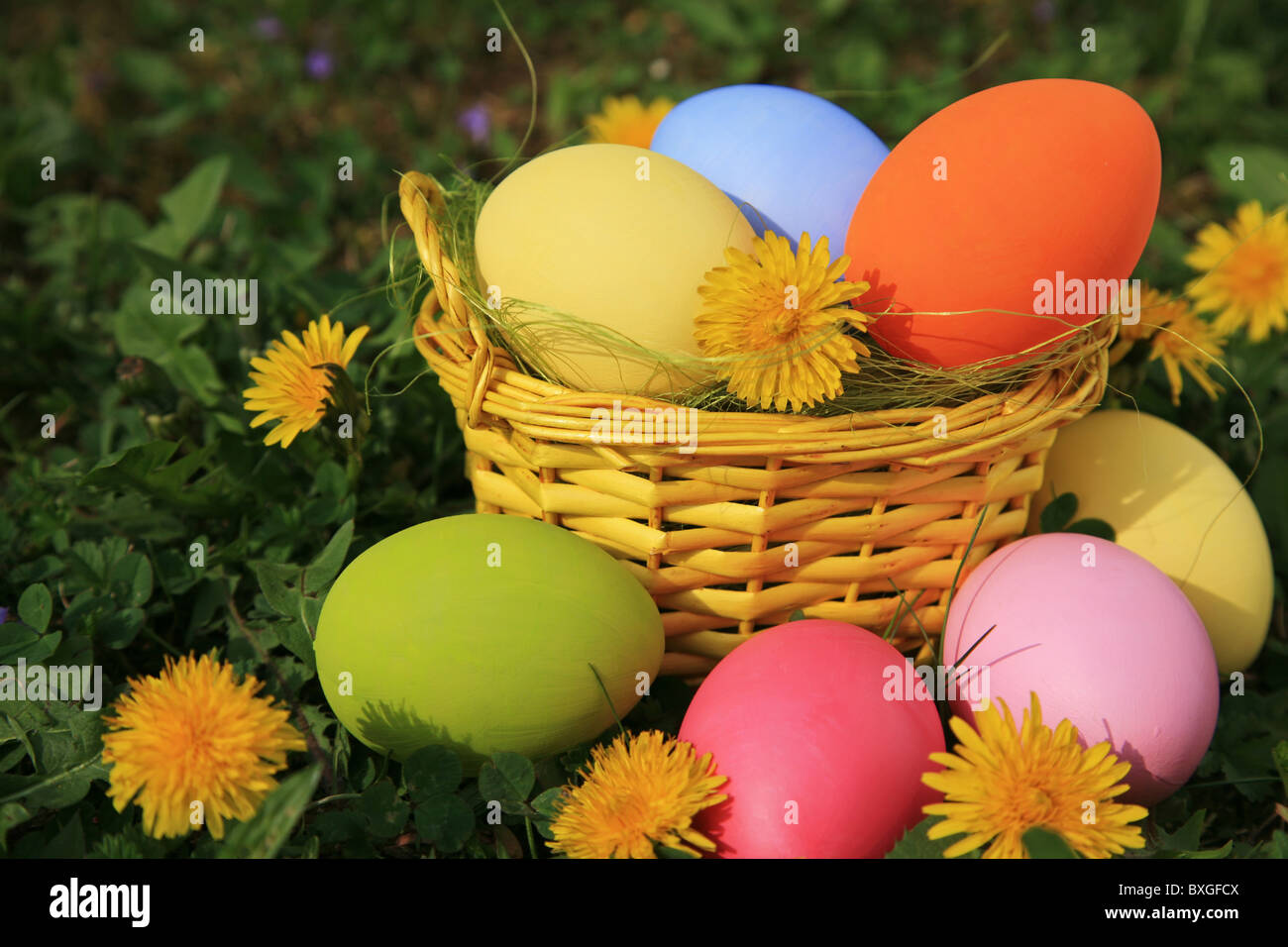 Basket full of colorful easter eggs Stock Photo
