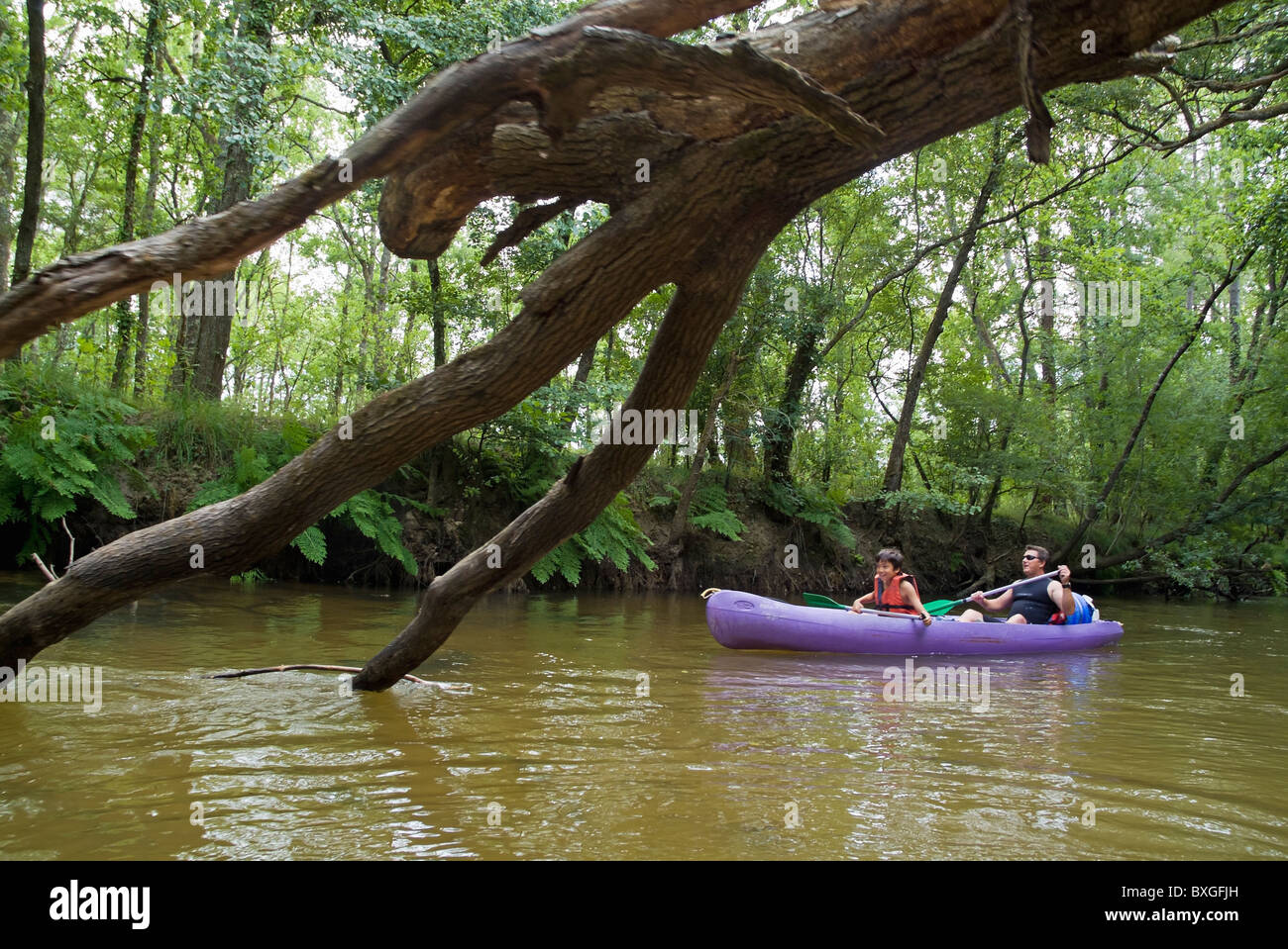 Father and his son canoeing on the Eyre river, Aquitaine, France. Stock Photo