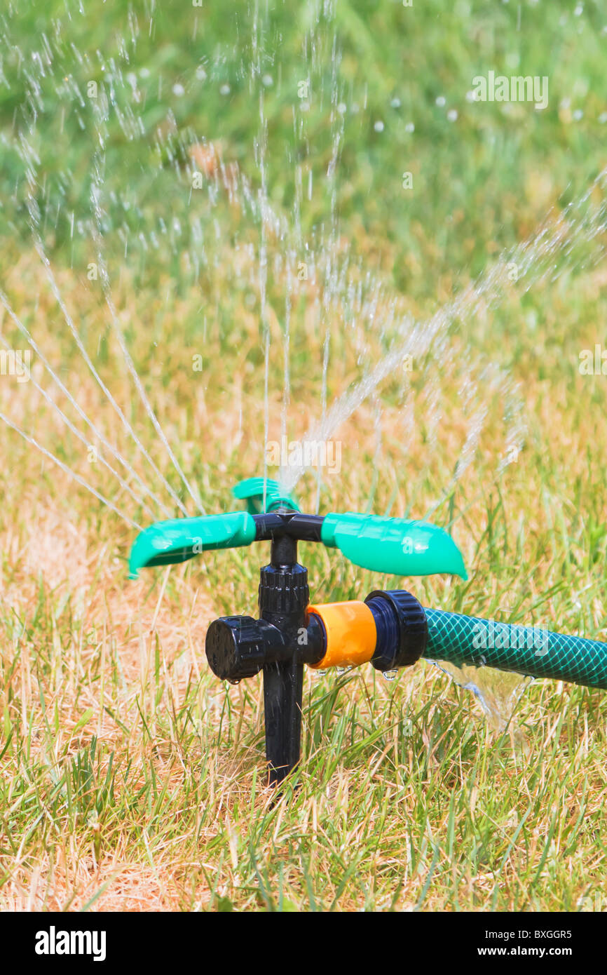 Close up of lawn sprinkler in hot summer day Stock Photo - Alamy