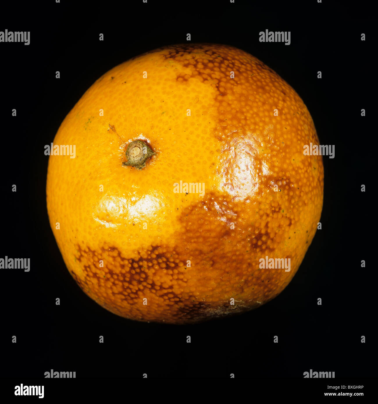 Ethylene burn caused by a ripening agent to an orange fruit in store Stock Photo