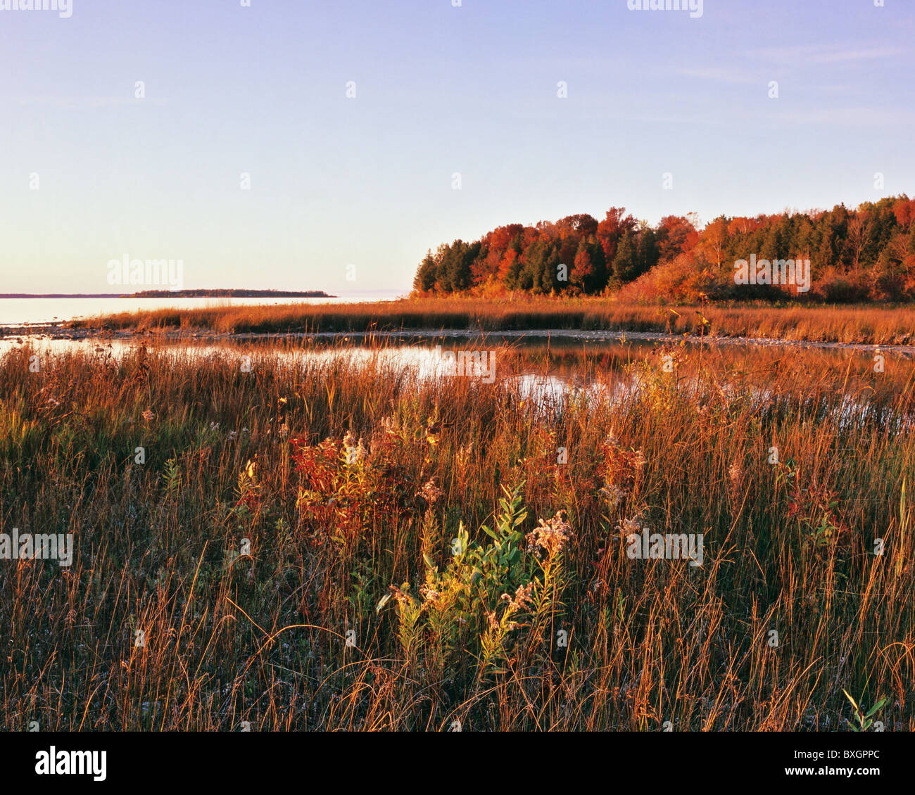 Shoreline marsh at sunset, Peninsula State Park, Wisconsin, USA Stock Photo