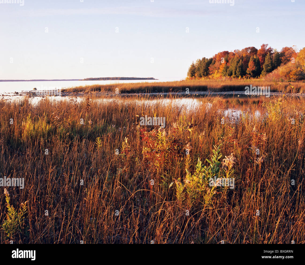Shoreline marsh at sunset, Peninsula State Park, Wisconsin, USA Stock