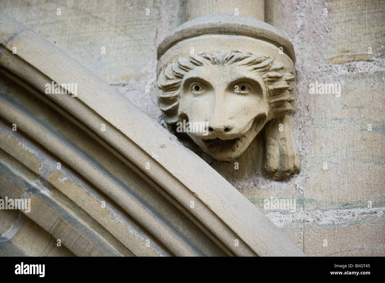 Stone sculpture of genial lion's head above an arch  in the chapter house of Southwell Minster in Nottinghamshire Stock Photo