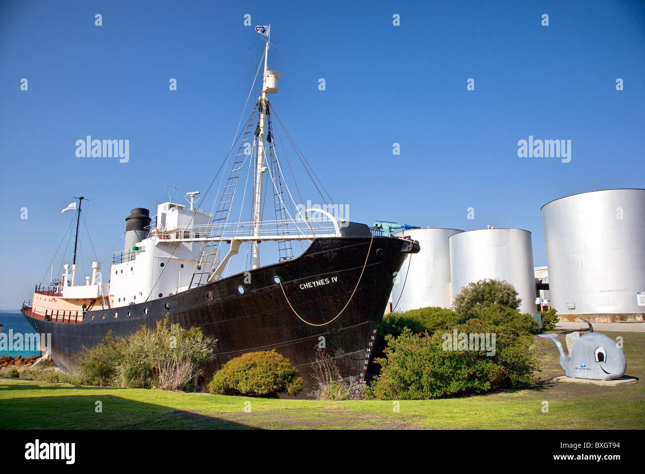 The whaler Cheynes IV now a museum ship at Whale world near Albany Western Australia with storage tanks and Willy Whale Stock Photo