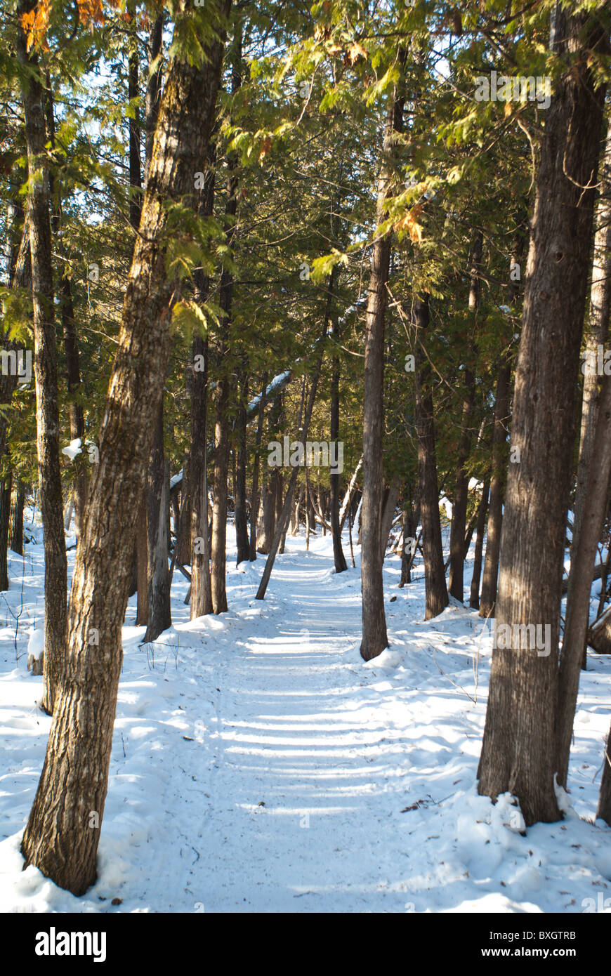 Birds Hill Manitoba Canada Stock Photo Alamy