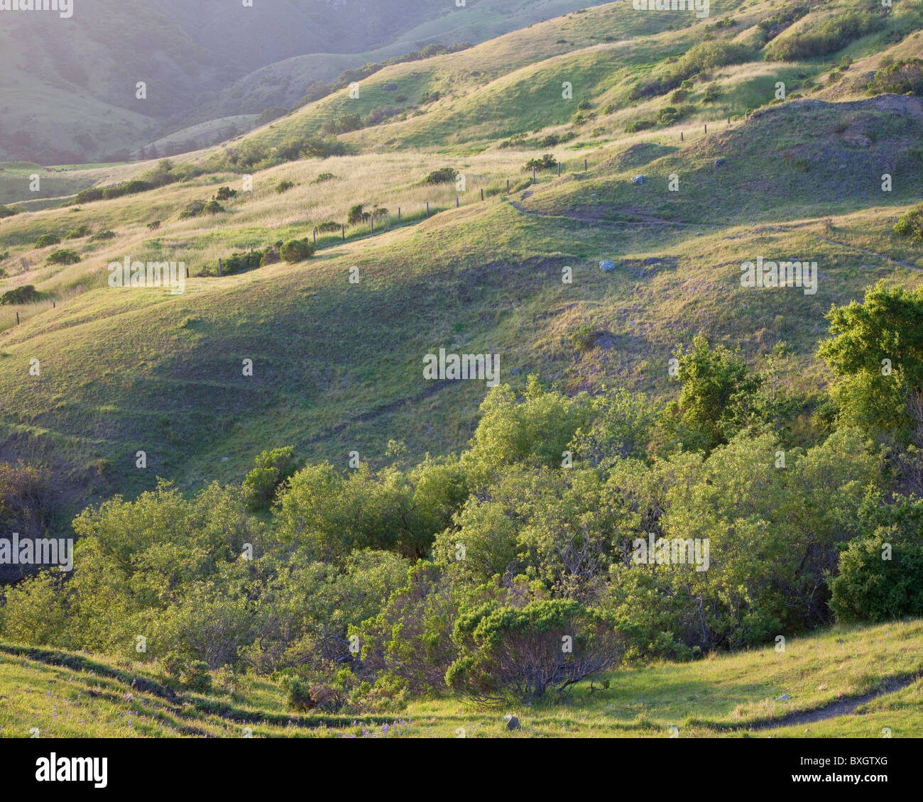 Coastal hills and pasture, El Sur Ranch, Big Sur country, central California coast, USA Stock Photo