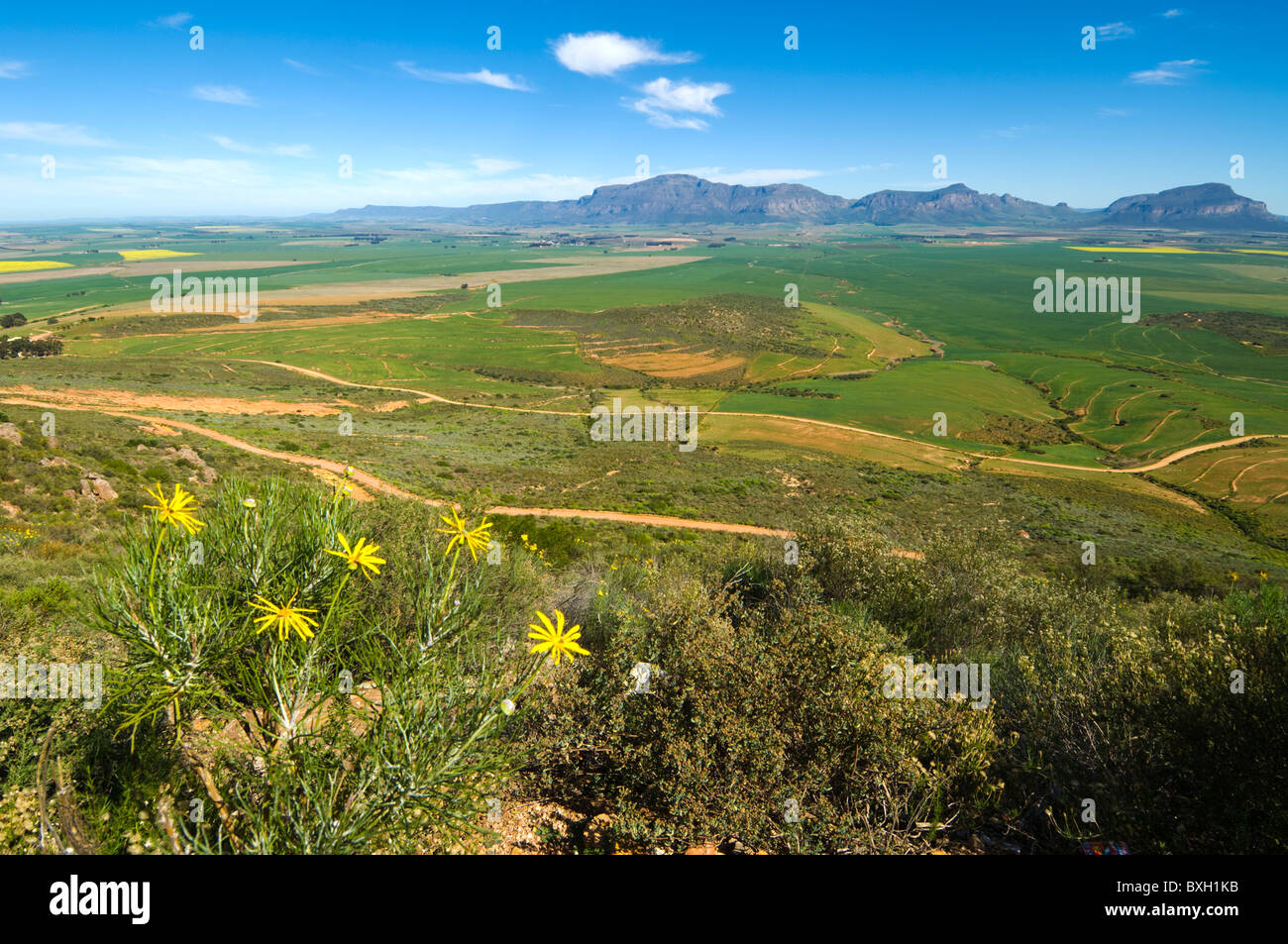Namaqualand Western Cape South Africa Stock Photo