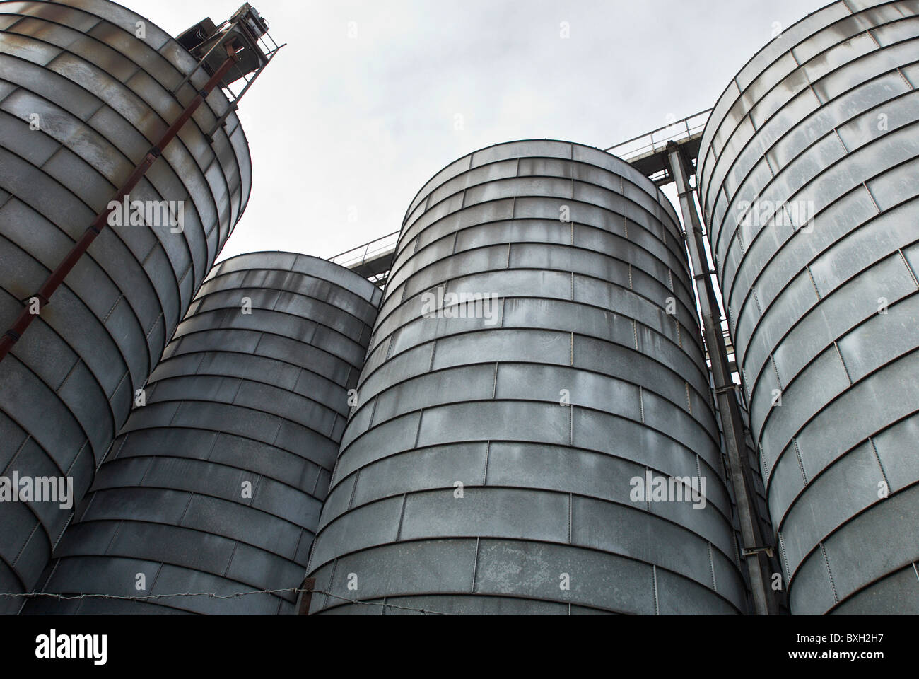 Grain storage facility on the Boal Quay Kings Lynn Norfolk UK Stock