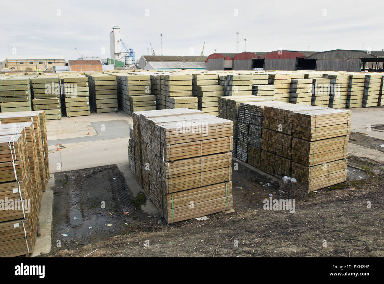 Timber storage yard Kings Lynn Norfolk UK Stock Photo Alamy