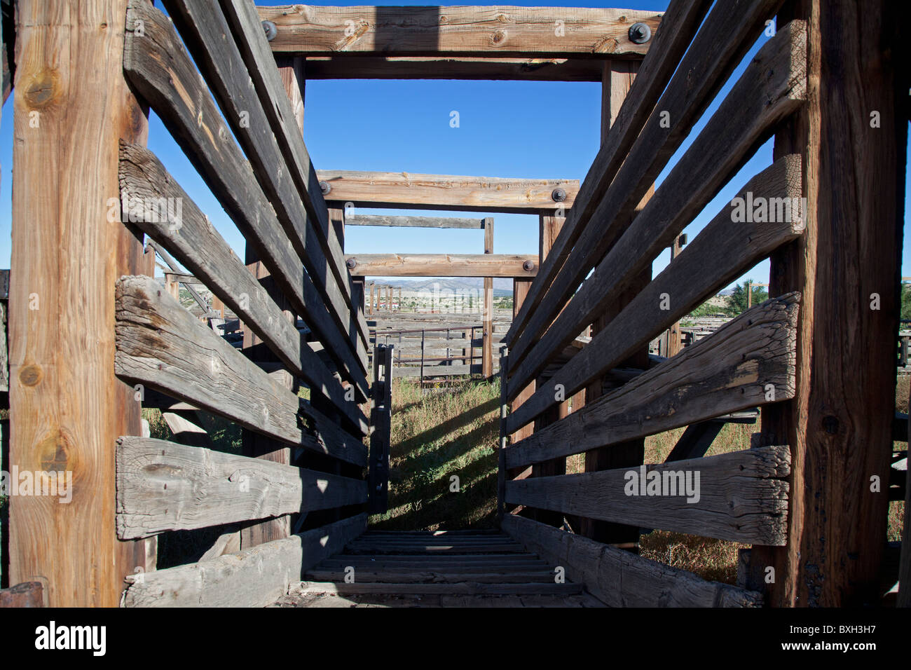 Historic Magdalena Stock Pens, Used in Cattle Drives Stock Photo