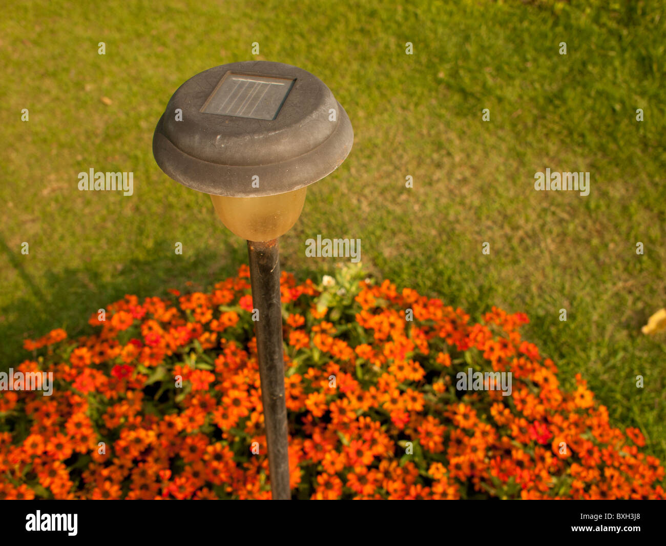 Solar lawn light or solar garden lighting Stock Photo