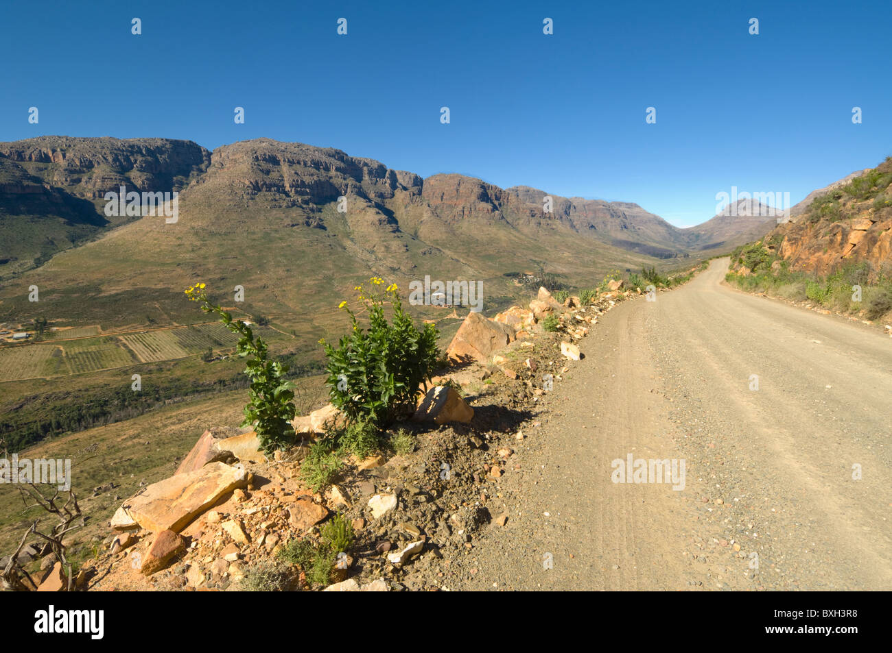 Cederberg Mountains Namaqualand Western Cape South Africa Stock Photo