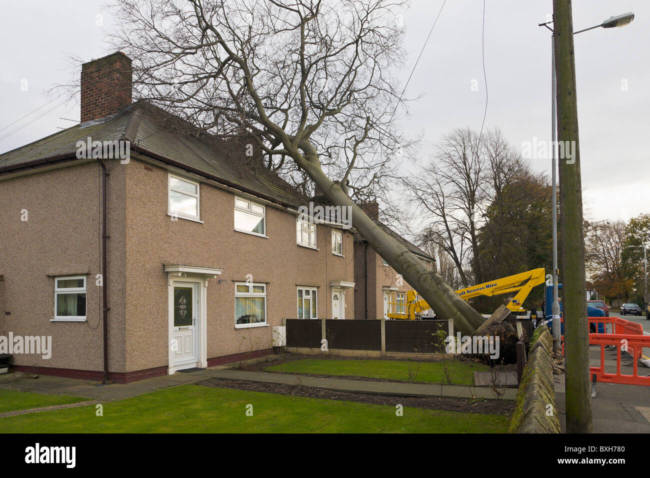 Tree falling on house, Wirral, England Stock Photo