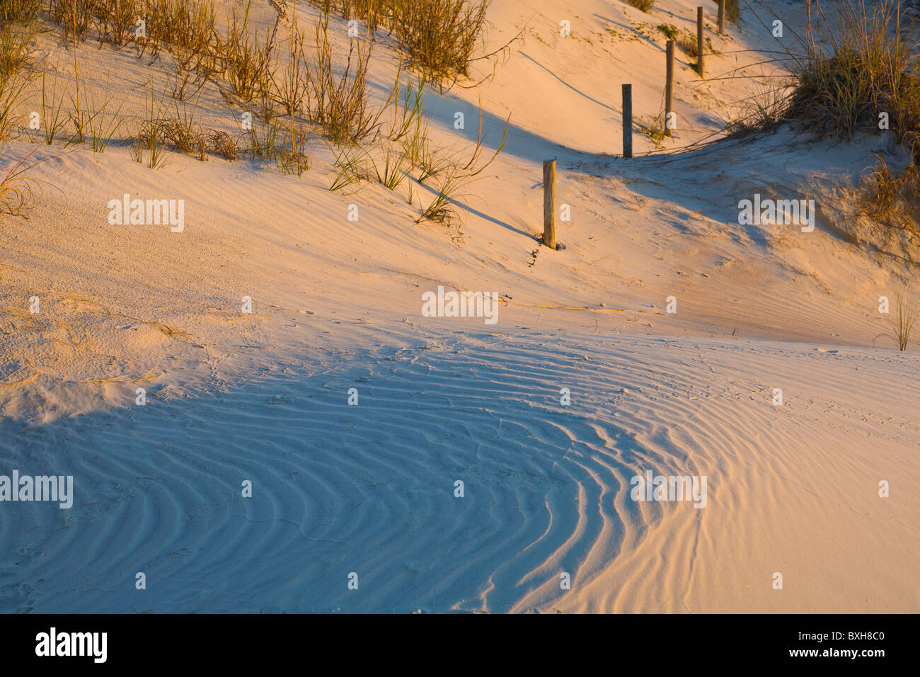 Sand dunes in late afternoon light on Atlantic Ocean beach in Anastasia State Park in St