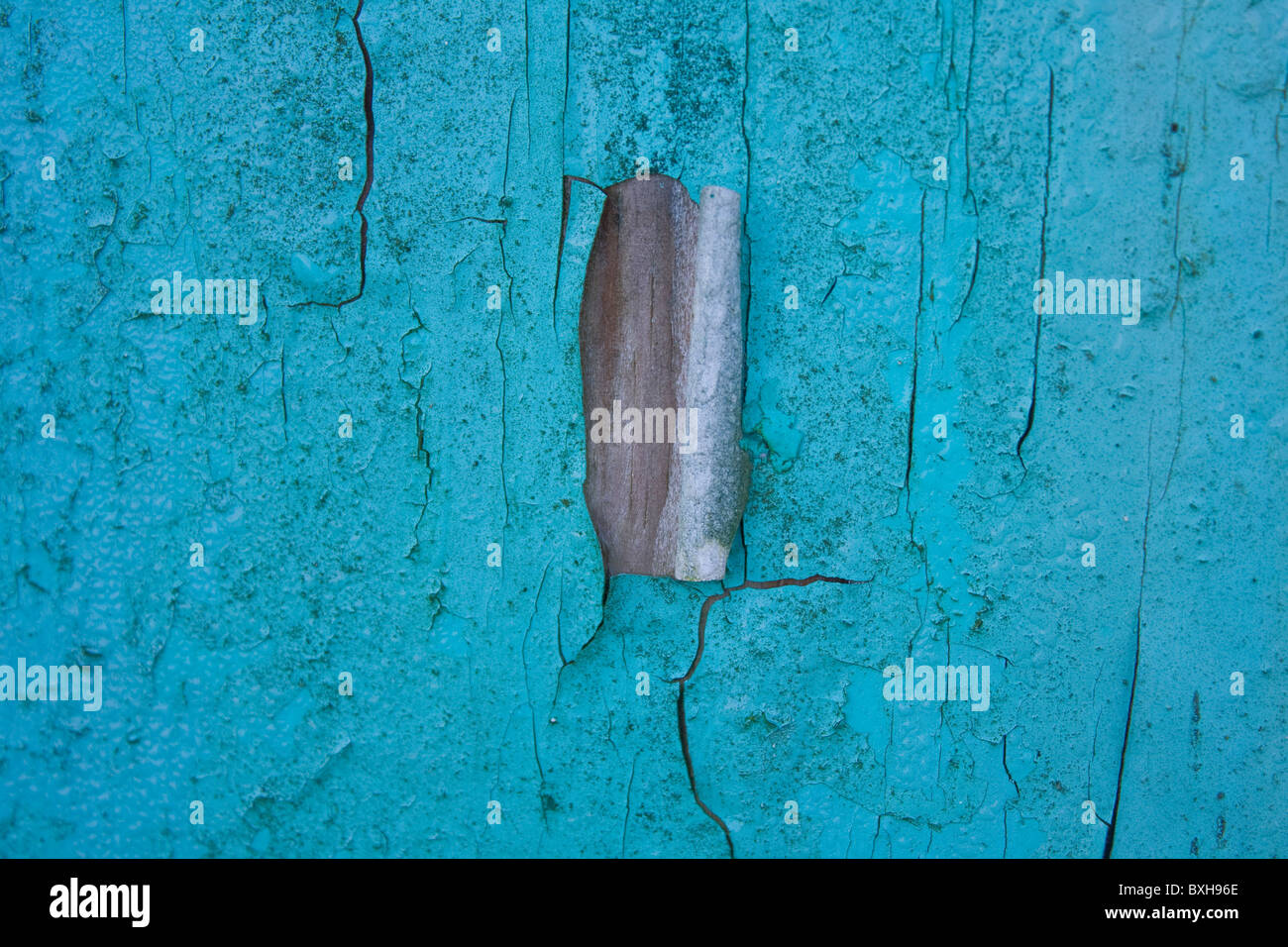 Detail of cracked painted barn door Stock Photo