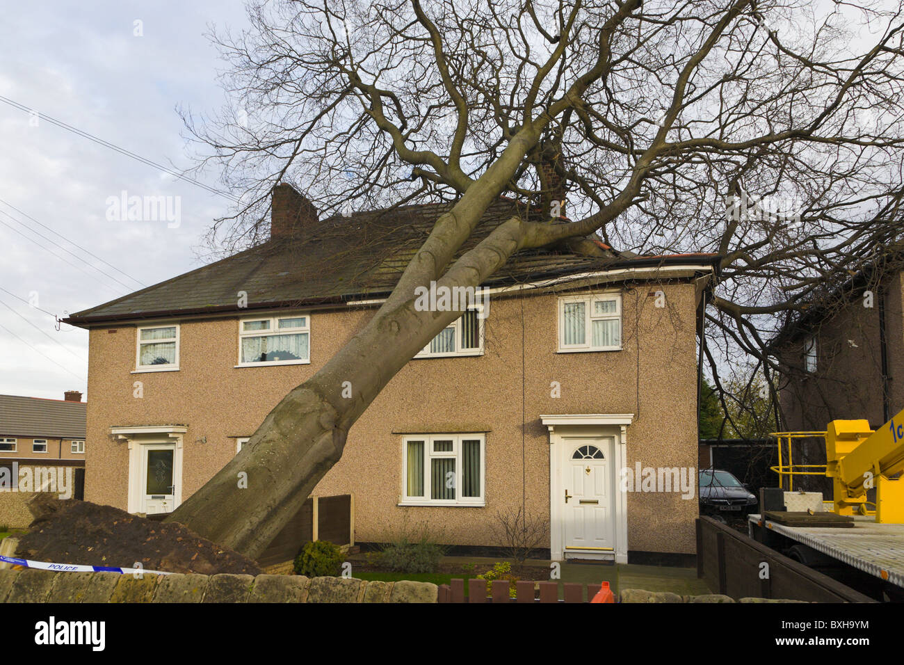 Tree falling on house, Wirral, England Stock Photo