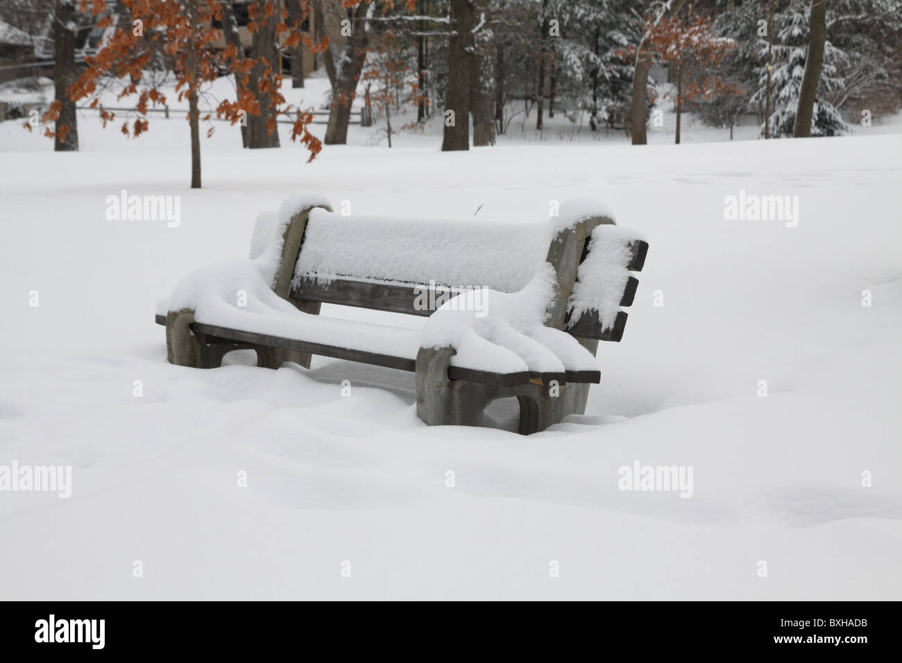 A park bench covered in snow Stock Photo - Alamy