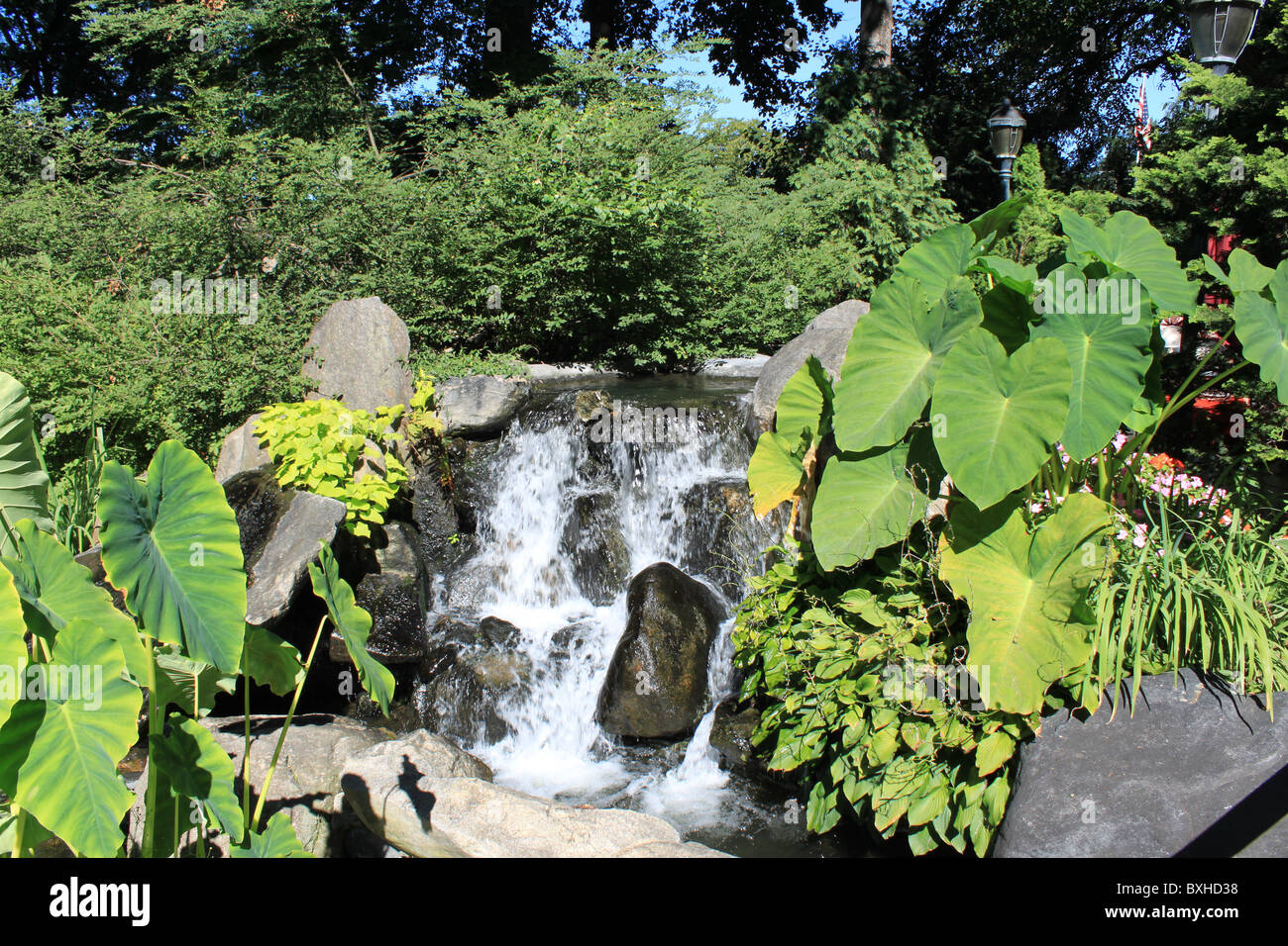 Scenic Water Falls Stock Photo