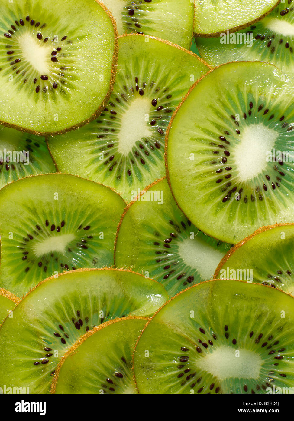 New zealand kiwi hi-res stock photography and images - Alamy