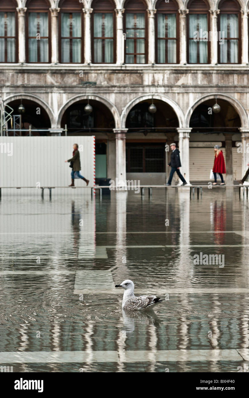 San Marco square flooded by 'Acqua alta', Venice, Italy, Europe Stock Photo