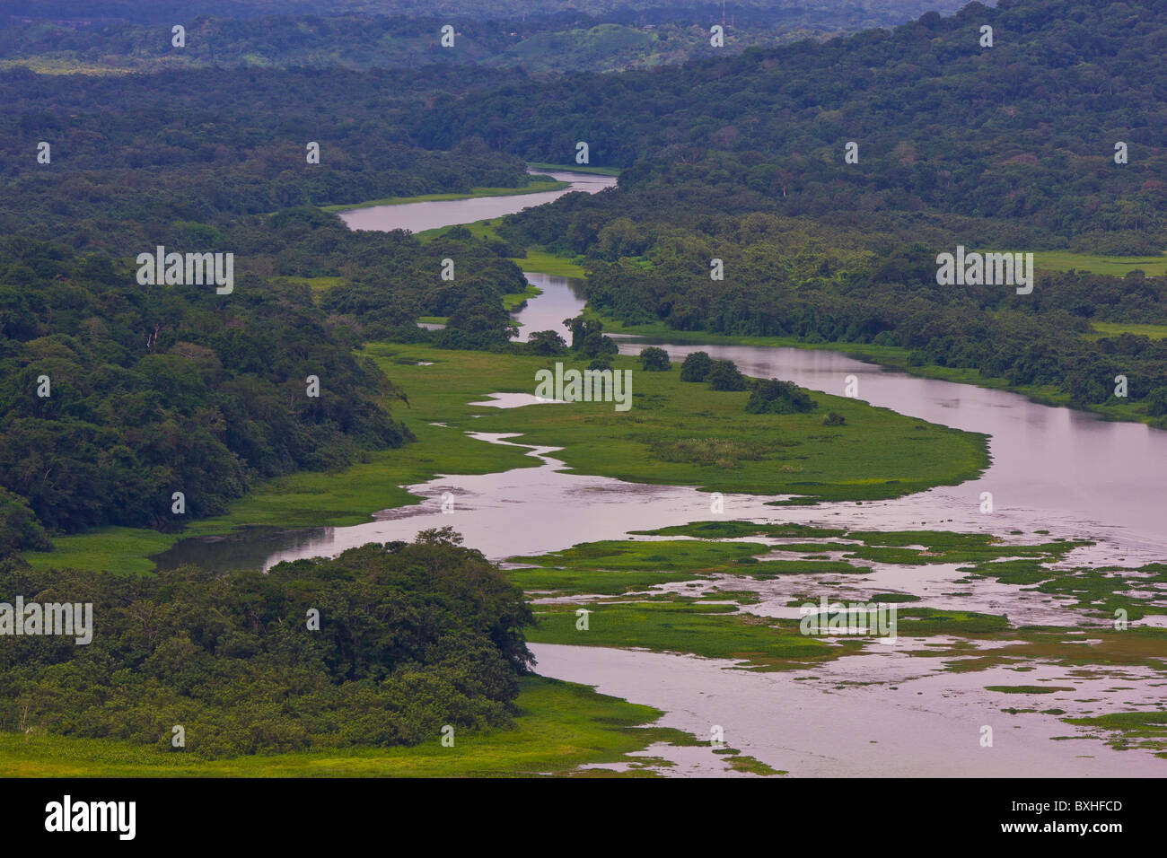 GAMBOA, PANAMA river and rain forest along Panama Canal zone Stock