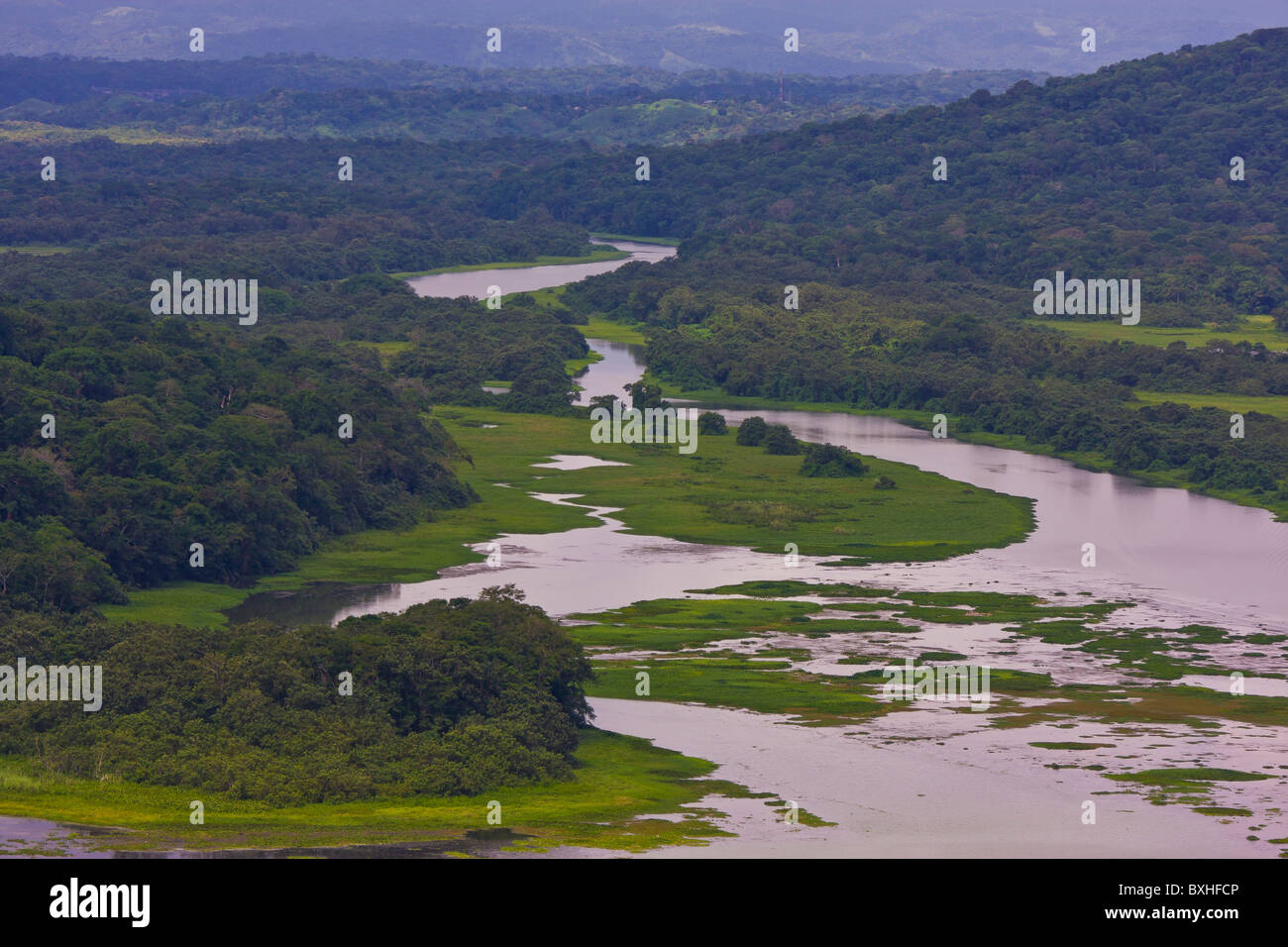 GAMBOA, PANAMA river and rain forest along Panama Canal zone Stock