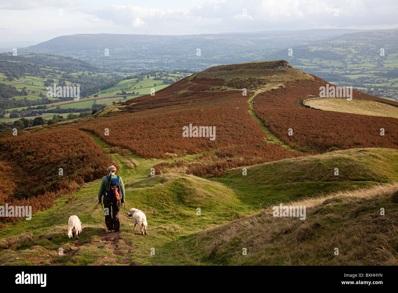 Are Dogs Allowed At Table Mountain