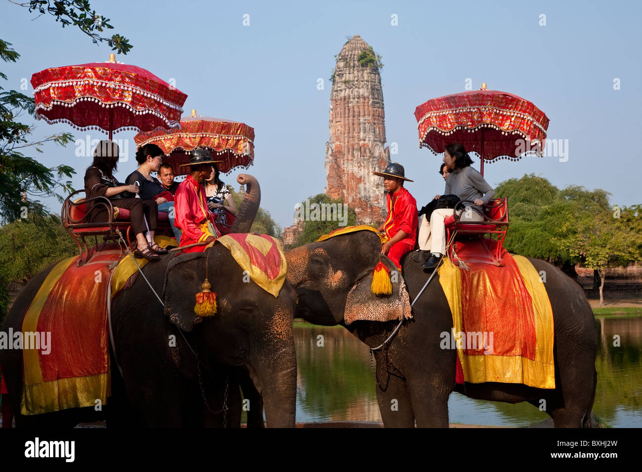 elephant thailand tourist