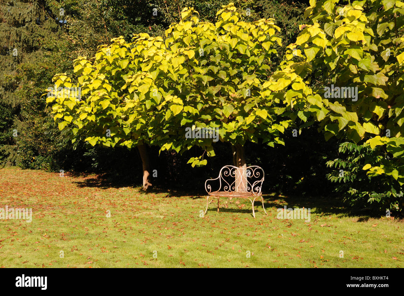 iron bench in garden, green trees, rusted bench Stock Photo - Alamy