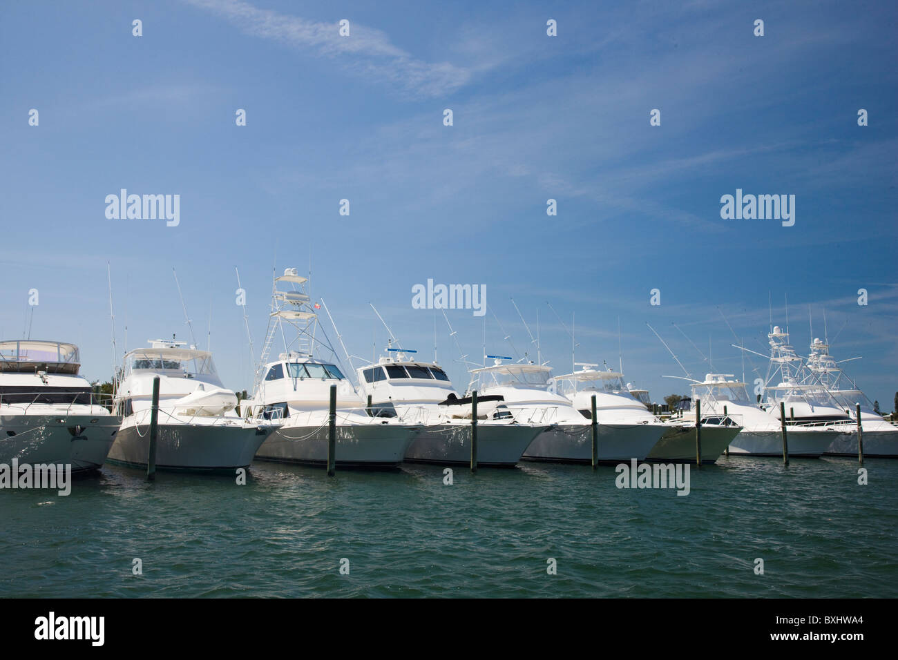 Luxury motor cruisers in the harbour at Anna Maria Island, Florida