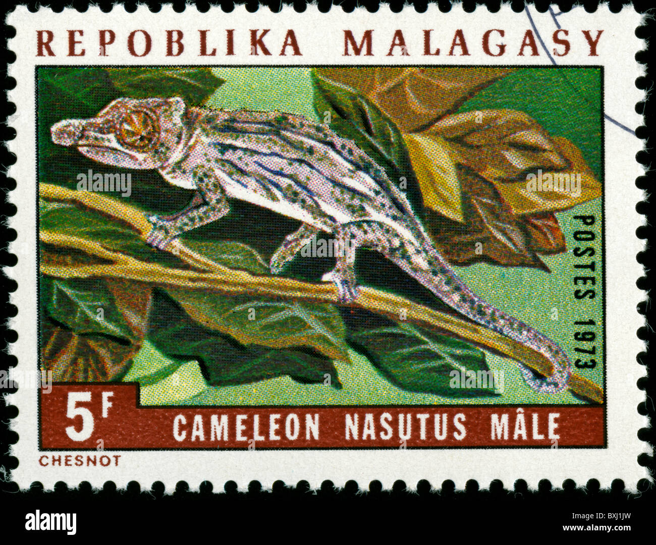 Stap from Madagascar with picture of cameleon Stock Photo