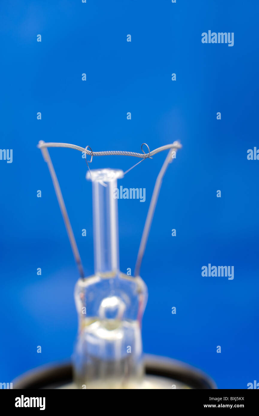 a macro shot of a bulb glower Stock Photo