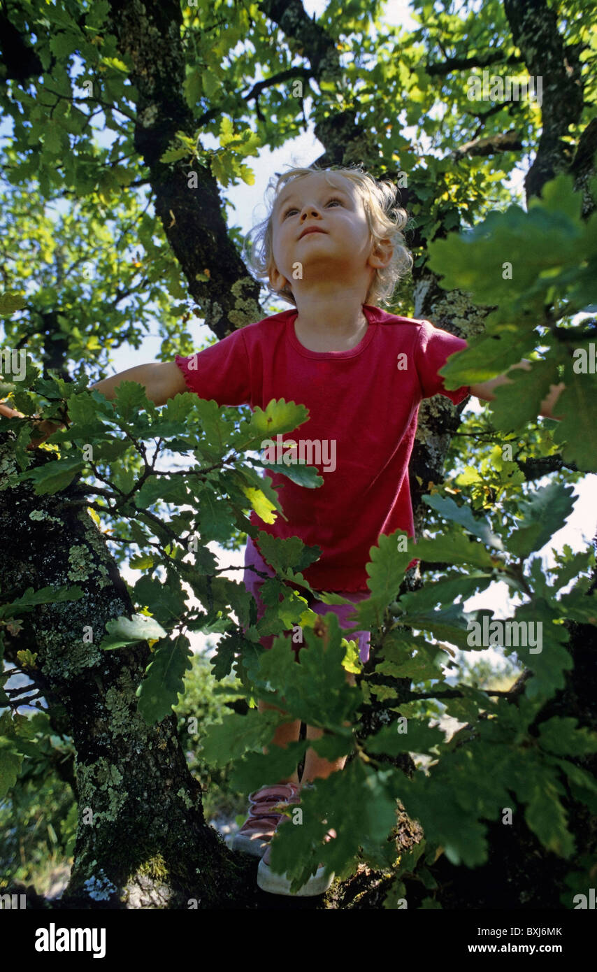 Two year old girl climbing in a tree, France. Stock Photo